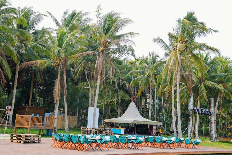 興隆可可樹(shù)下?tīng)I(yíng)地